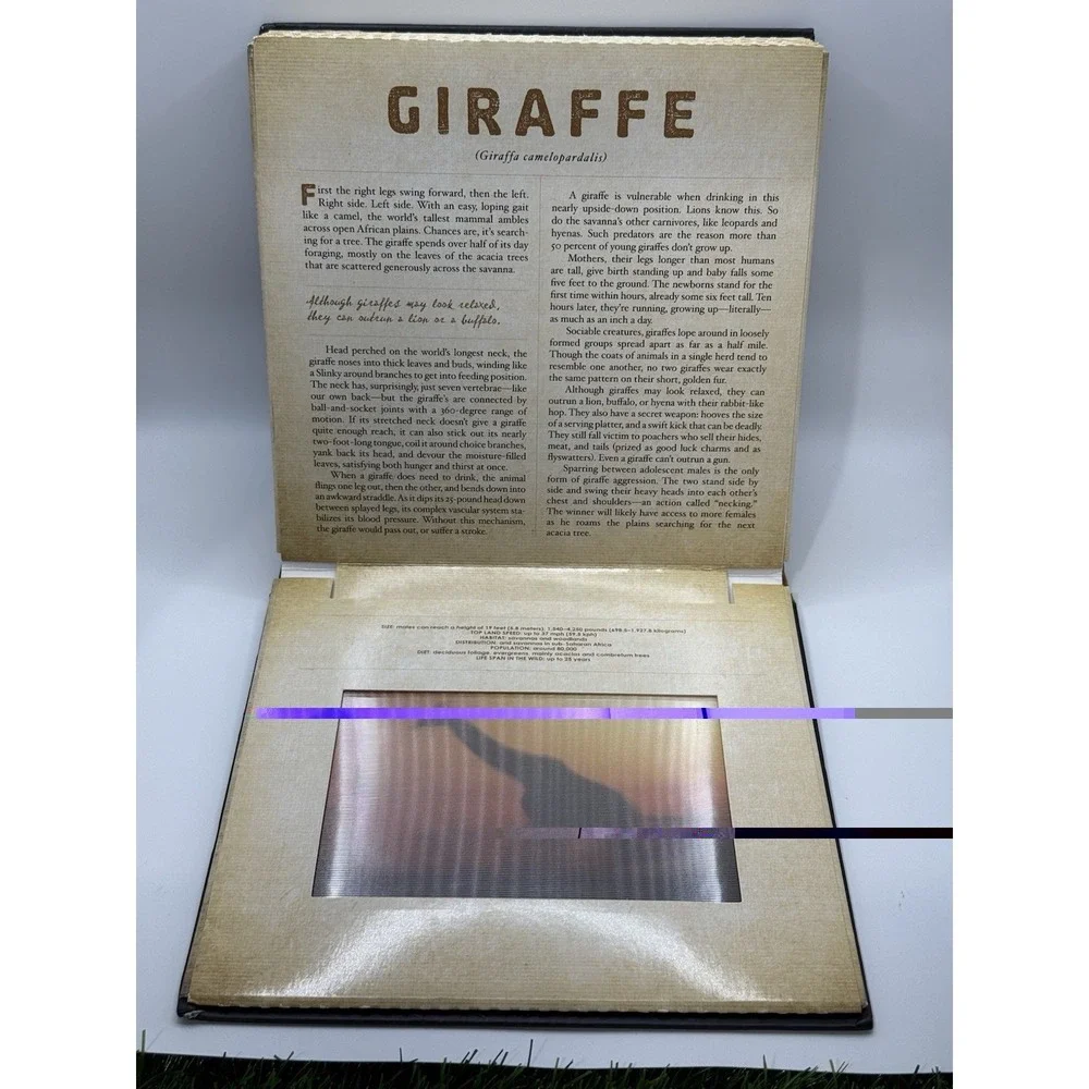 Safari : A Photicular Book by Carol Kaufmann and Dan Kainen (2012, Hardcover)